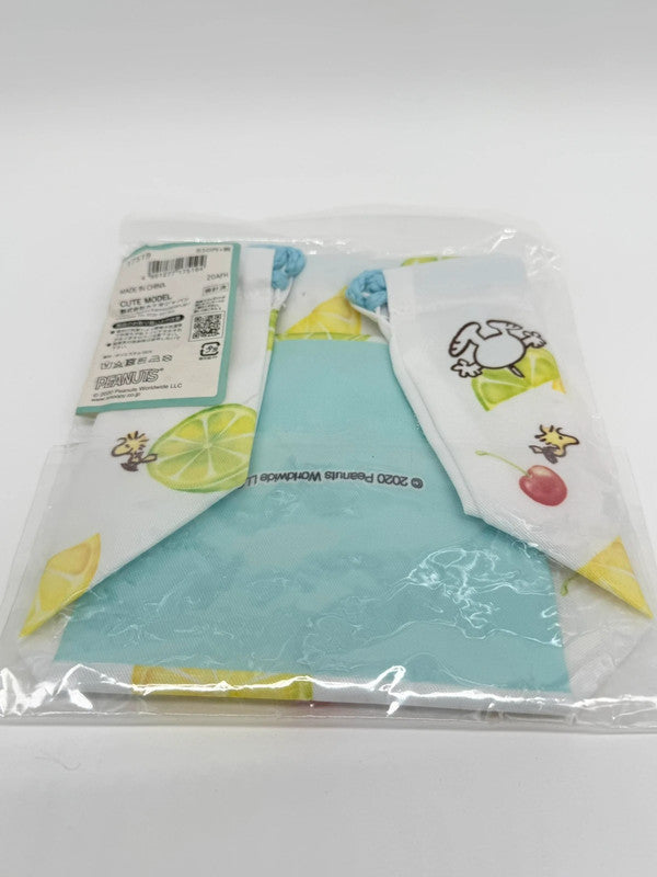 Snoopy Official Lunch Bag Peanuts Japan