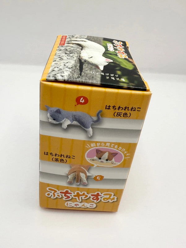 Yell Japan Official Blind Box Sleepy Cat Figurine