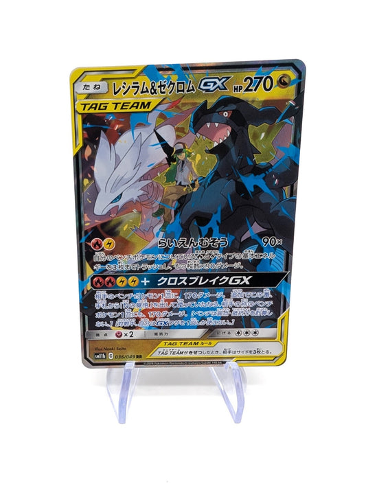 NM! Reshiram & Zekrom GX (036/049) Tag Team Dream League Holo Pokemon Card! NM