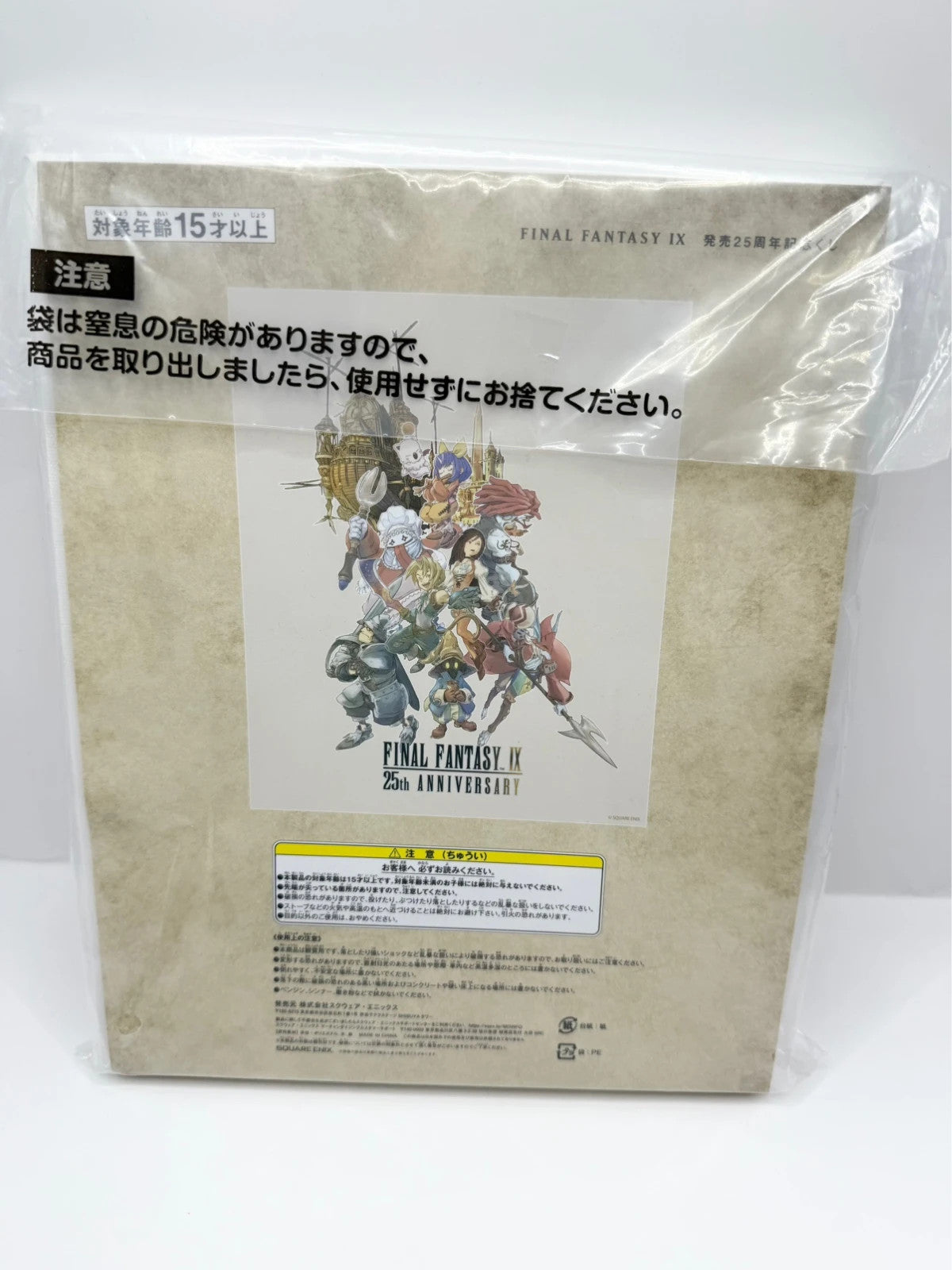 Final Fantasy IX 25th Anniversary Ichiban Kuji Print Canvas Art Square Enix Prize Japan