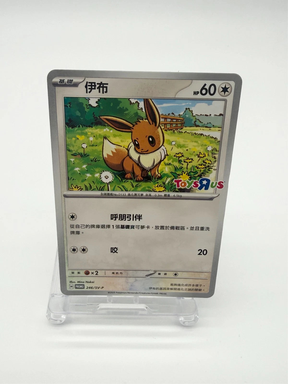 2025 Pokemon Traditional Chinese 246/SV-P EEVEE Taiwan Toys R Us Promo